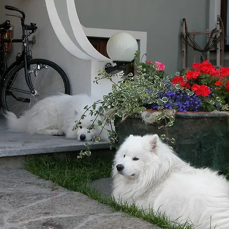 Отель Nevada Бормио