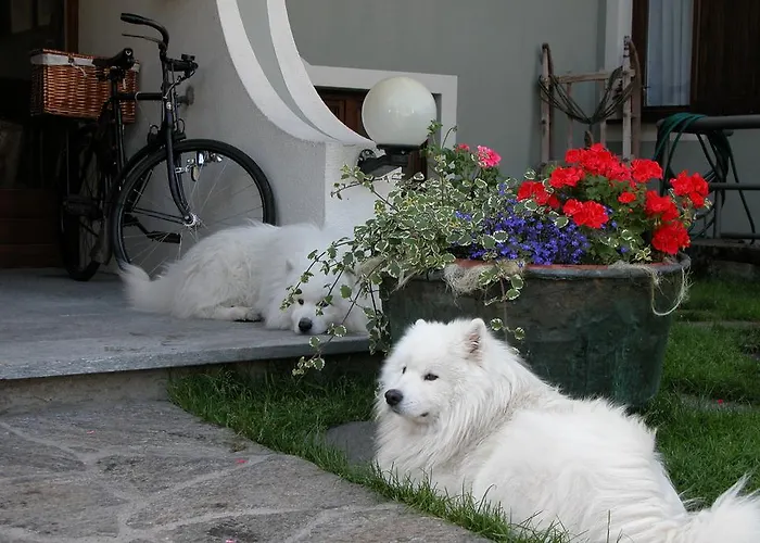 Ξενοδοχείο Nevada Μπόρμιο