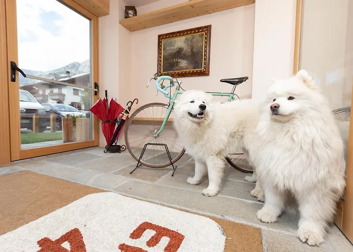 ネバダ ホテル ボルミオ